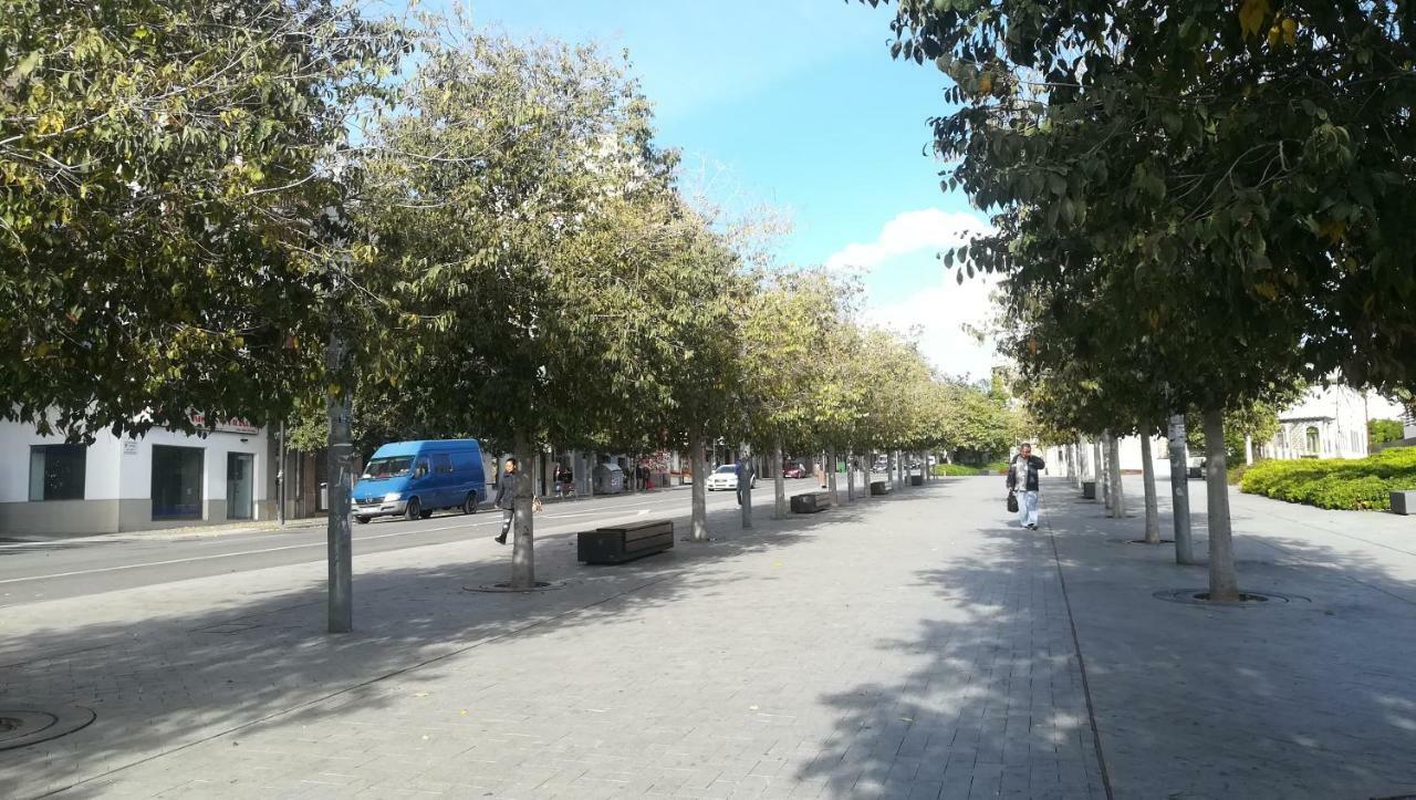 Temporary Alicante Hm Экстерьер фото
